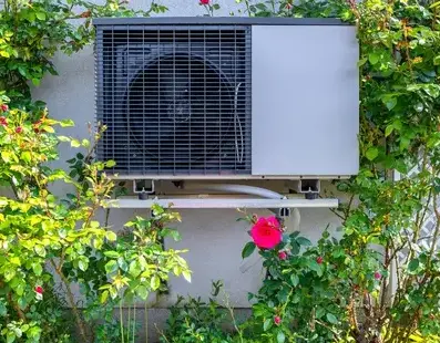 mise aux normes électriques Belz-2
