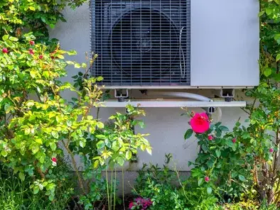 rénovation électrique Belz-3